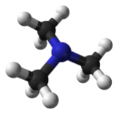 Trimethylamine-3D-balls_wikipedia